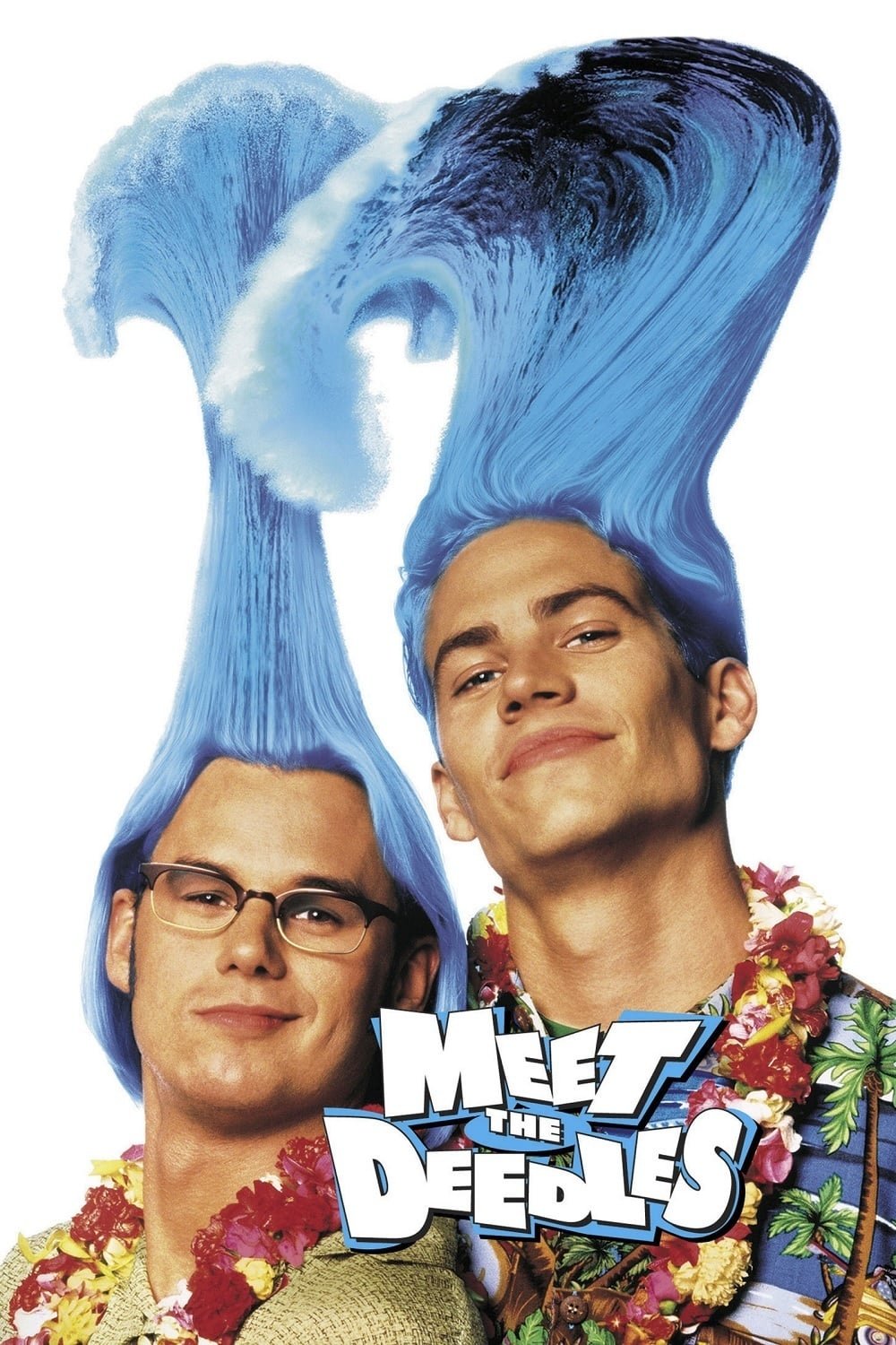 Постер Meet the Deedles